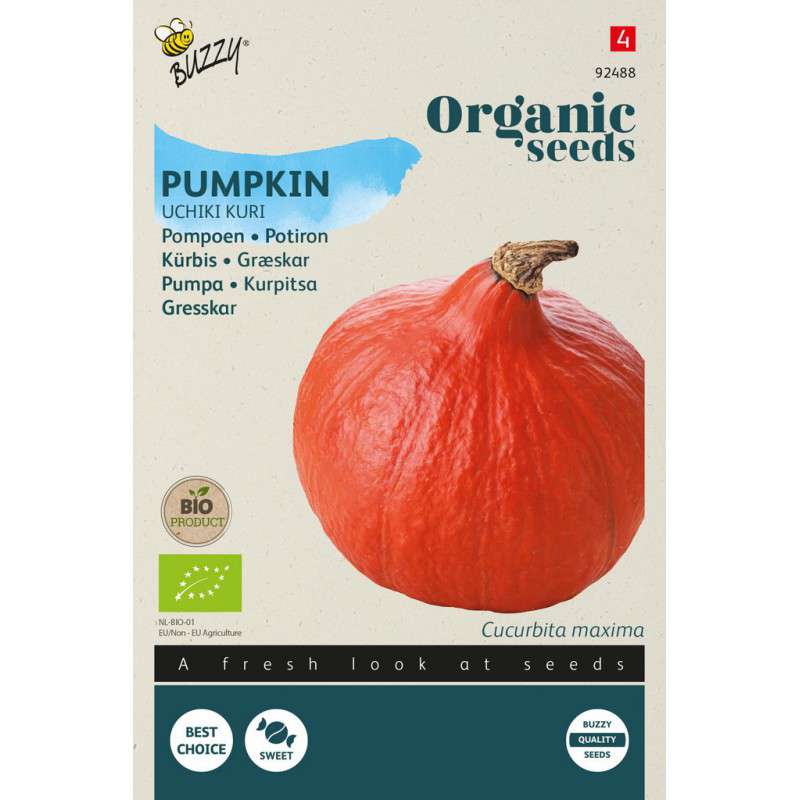 Pompoen Uchiki Kuri