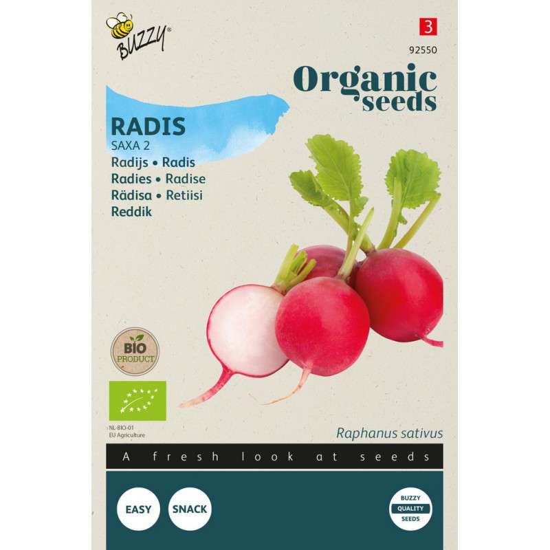 Radijs Saxa 2