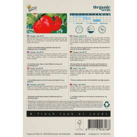 Tomaten Ace 55 VF