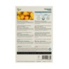 Tomaat Yellow Pearshaped