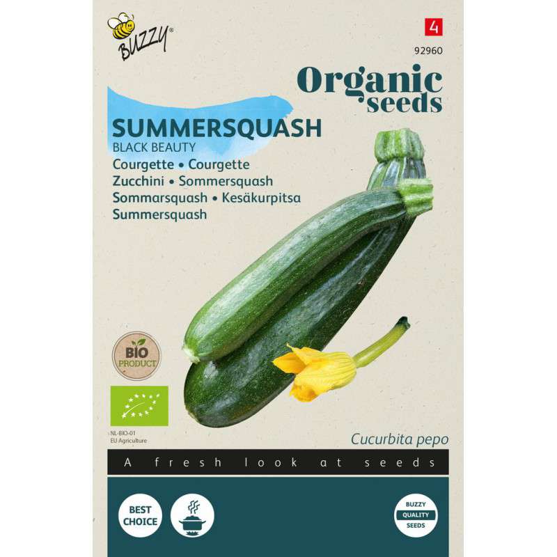 Courgette Black Beauty