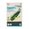 Courgette Black Beauty