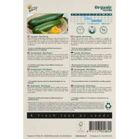 Courgette Black Beauty