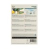 Courgette Partenon F1