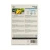 Courgette Yellowfin F1