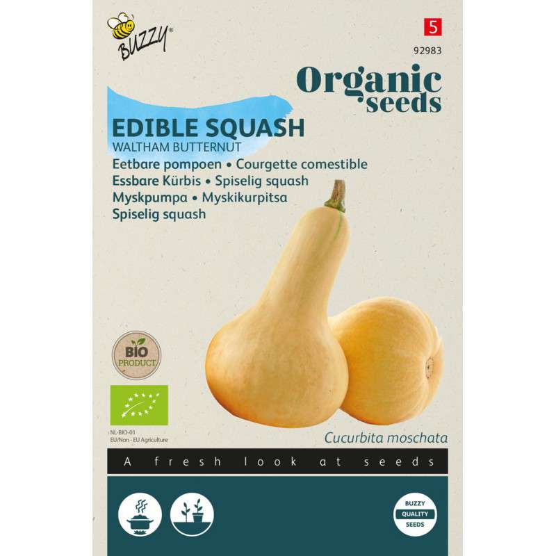 Eetbare Pompoen Waltham Butternut