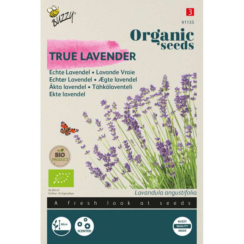 Echte Lavendel
