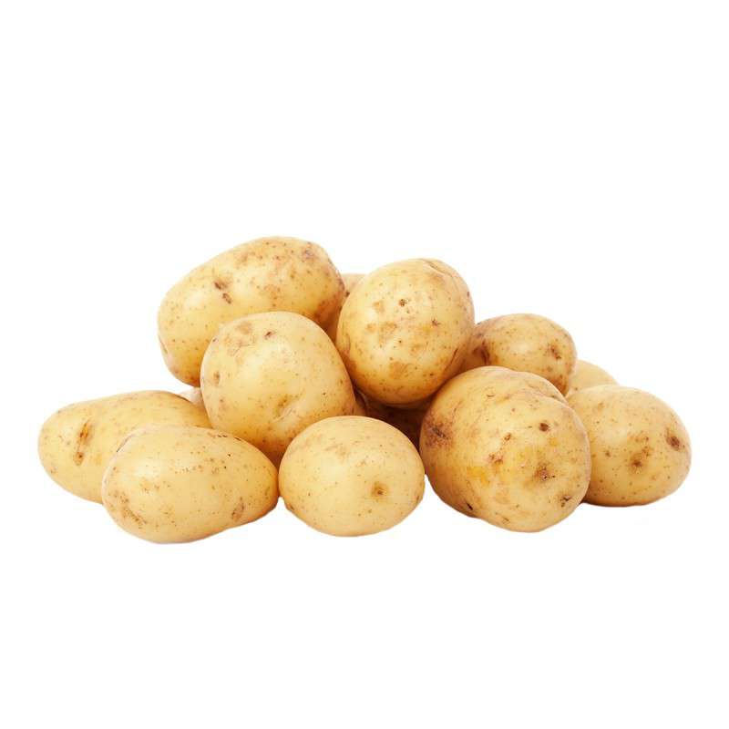 Pootaardappel Vitabella