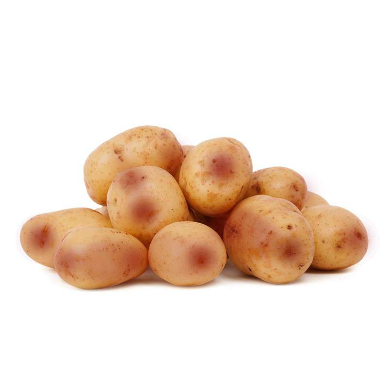 Pootaardappel Carolus