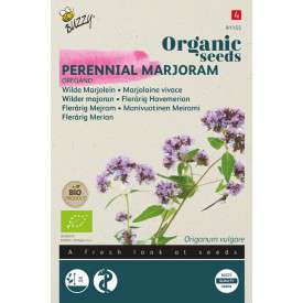 Wilde Marjolein - Oregano