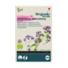 Wilde Marjolein - Oregano