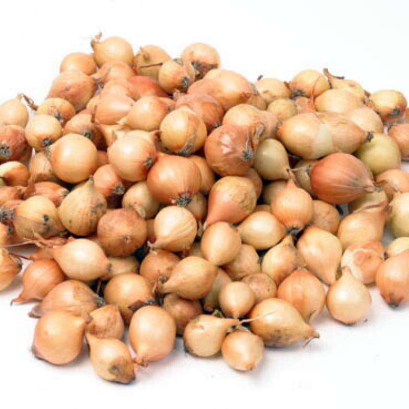 Plantui Setton
