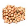 Plantui Stuttgarter Riesen