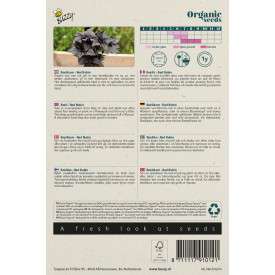 Basilicum Red Rubin