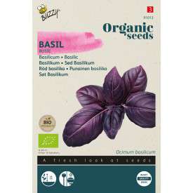 Basilicum Rosie