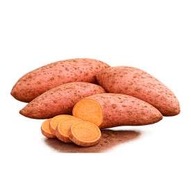 Zoete aardappel plantjes Beauregard BIO - 5 stuks